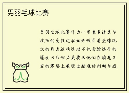 男羽毛球比赛